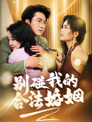别碰我的合法婚姻（30集）在线看到大结局
