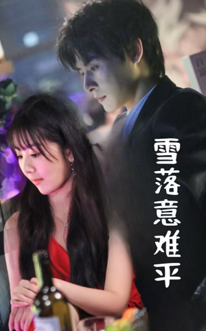 雪落意难平(35集) 雪落意难平(35集)在哪个app能看