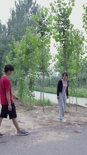 小院时光（100集）番茄免费短剧