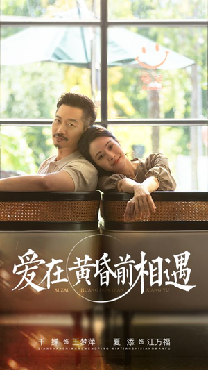 爱在黄昏前相遇（65集）全网独播免费看