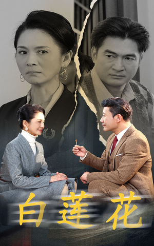 白莲花（40集）最火爆的短剧