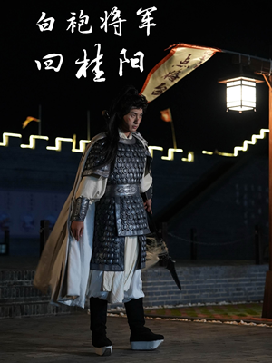 白袍将军回桂阳（36集）我全都看完了