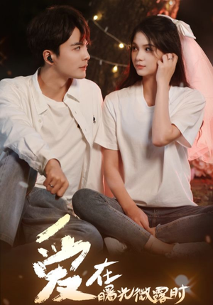 爱在曙光微露时(49集) 爱在曙光微露时(49集)小短剧抢先看