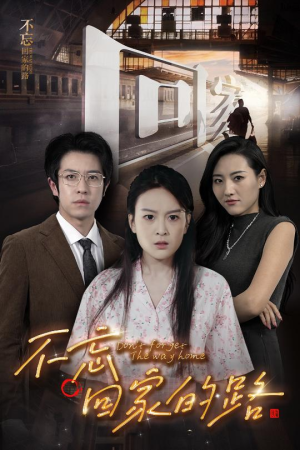不忘回家的路（61集）热播古装短剧