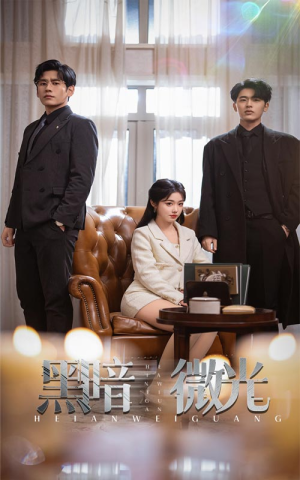 黑暗微光(66集) 黑暗微光(66集)短剧中追到爽