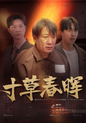 寸草春晖(31集) 寸草春晖(31集)免费短剧资源