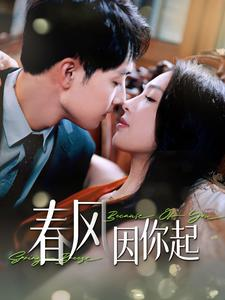 春风因你起（95集）解说