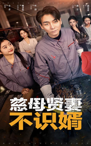 慈母贤妻不识婿(45集) 慈母贤妻不识婿(45集)简直不要太好看