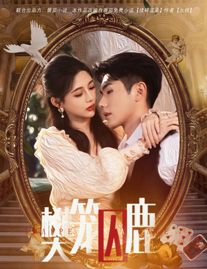 樊笼囚鹿(60集) 樊笼囚鹿(60集)全部免费看全集