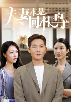 夫妻本是同林鸟(76集) 夫妻本是同林鸟(76集)红果免费短剧