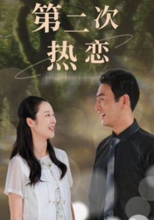 第二次热恋（48集）精彩短剧抢先看