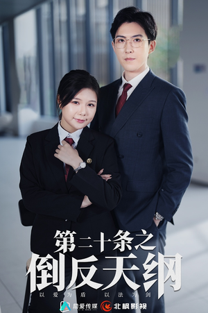 第二十条之倒反天纲(60集) 第二十条之倒反天纲(60集)短剧解说全集