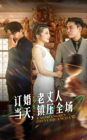 订婚当天,老丈人镇压全场(29集) 订婚当天,老丈人镇压全场(29集)演的怎么样