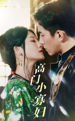 高门小寡妇（60集）热门短剧大全