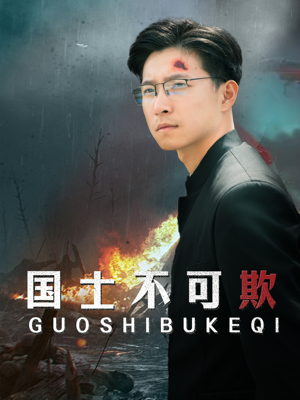 国士不可欺（79集）免费观看完整版