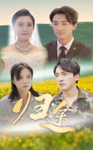 归途(52集) 归途(52集)好看上头短剧