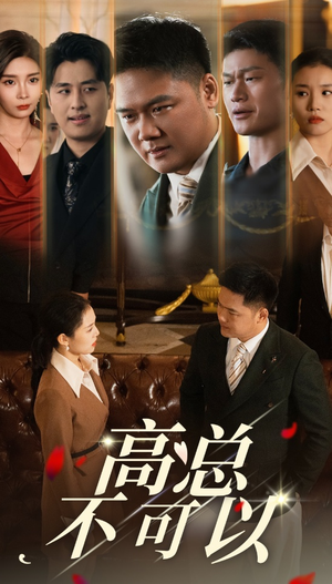 高总不可以（45集）解说