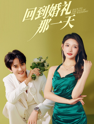 回到婚礼那一天（88集）免费观看