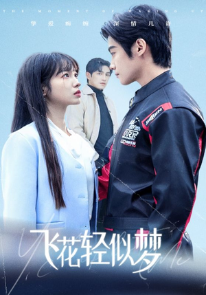 飞花轻似梦(37集) 飞花轻似梦(37集)全集下载