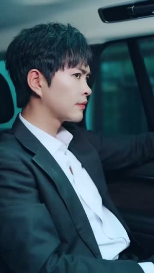 忽如一夜春风来(28集) 忽如一夜春风来(28集)全剧看到大结局