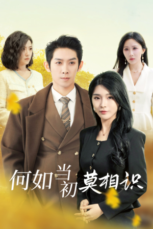 何如当初莫相识(36集) 何如当初莫相识(36集)百度网盘资源