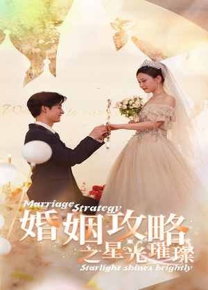 婚姻攻略之星光璀璨(32集) 婚姻攻略之星光璀璨(32集)全集在线看