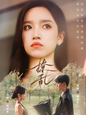 撩乱(65集) 撩乱(65集)免费看短剧全集