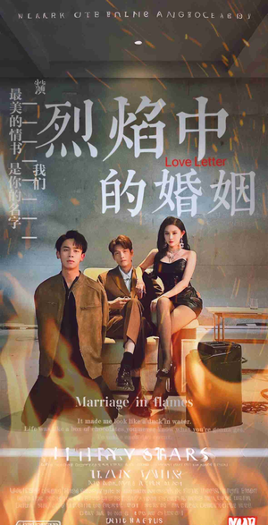 烈焰中的婚姻（32集）短剧排行榜