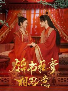 锦书难寄相思意(97集) 锦书难寄相思意(97集)在线免费观看