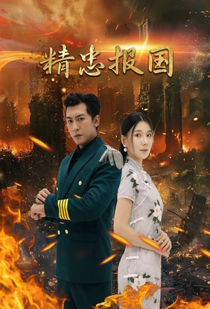 精忠报国（61集）在哪个app能看