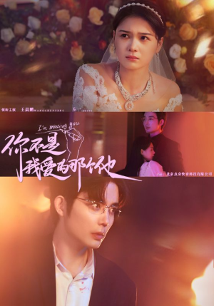 你不是我爱的那个他(54集) 你不是我爱的那个他(54集)热门短剧推荐