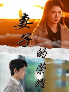 妻子的荣耀（40集）免费短剧片段