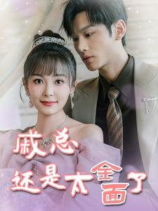 戚总今天追到夫人了么(57集) 戚总今天追到夫人了么(57集)悬疑短剧推荐