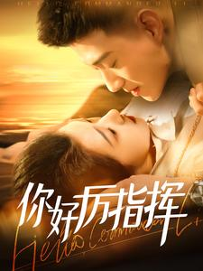 你好厉指挥（100集）热门爆款短剧