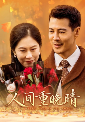 人间重晚情（38集）热播古装短剧