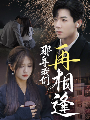 那年我们再相逢（65集）剧情简介