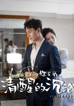 你是我清醒的沉沦（48集）免费看全集