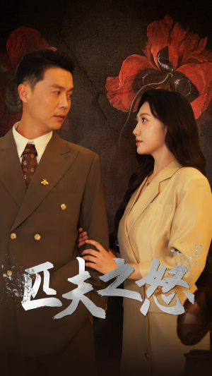 匹夫之怒（48集）精彩短剧热播中