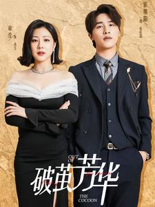 破茧芳华（80集）百度在线观看