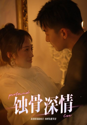 蚀骨深情（54集）热门短剧追到爽