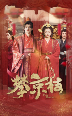 攀京枝（62集）短剧排行榜