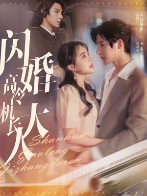 闪婚高冷机长大人（92集）短剧全集完整版