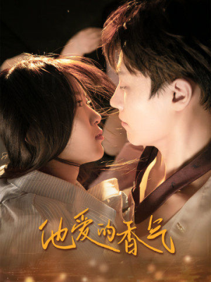 他爱的香气（81集）一共多少集