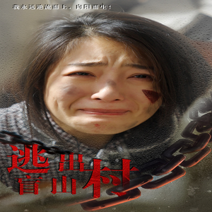 逃出盲山村(48集) 逃出盲山村(48集)超好看的短剧