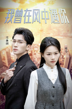 我曾在风中遇你(30集) 我曾在风中遇你(30集)女频短剧推荐