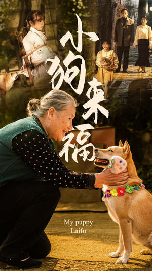 小狗来福(30集) 小狗来福(30集)全集一网打尽