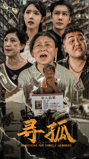 寻孤（78集）经典老剧免费看