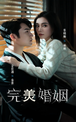 完美婚姻(65集) 完美婚姻(65集)热门短剧榜单