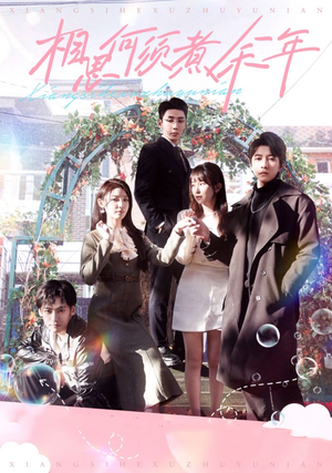 相思何须煮余年（33集）短剧看全集