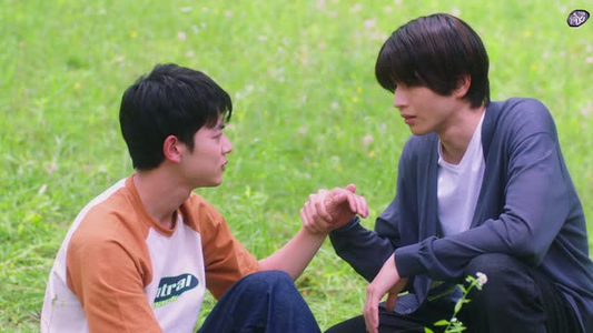 向阳之处必有声(12集) 向阳之处必有声(12集)第二季